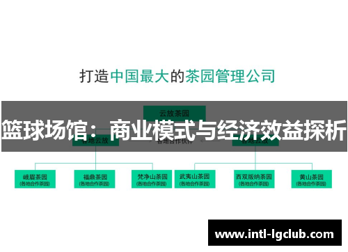 篮球场馆：商业模式与经济效益探析