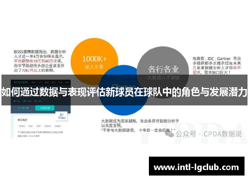 如何通过数据与表现评估新球员在球队中的角色与发展潜力