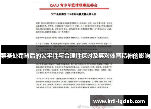 禁赛处罚背后的公平性与合理性探讨及其对体育精神的影响