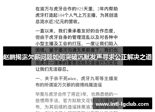 赵鹏揭露欠薪问题如何突破沉默发声寻求公正解决之道
