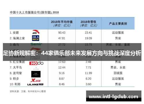 足协新规解密：44家俱乐部未来发展方向与挑战深度分析