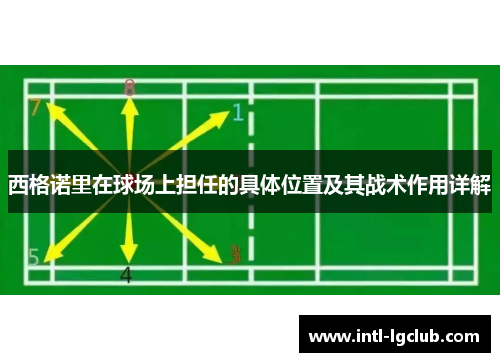 西格诺里在球场上担任的具体位置及其战术作用详解