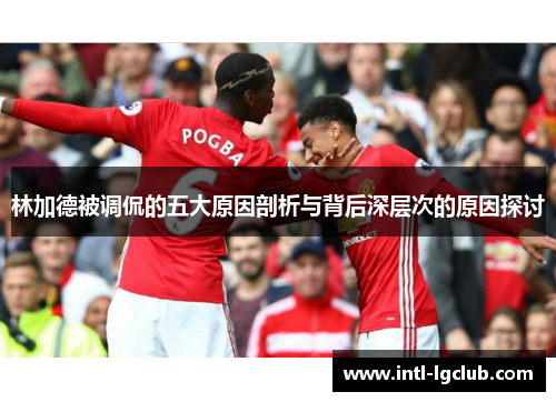 林加德被调侃的五大原因剖析与背后深层次的原因探讨