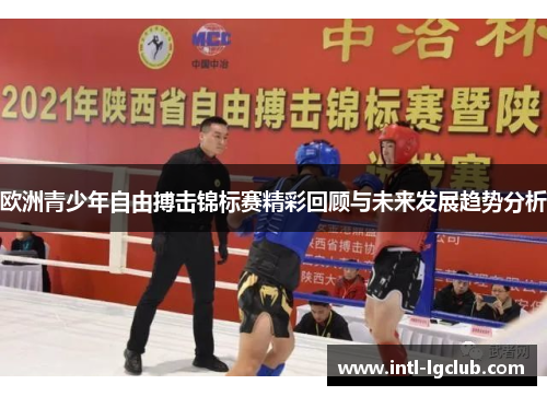 欧洲青少年自由搏击锦标赛精彩回顾与未来发展趋势分析